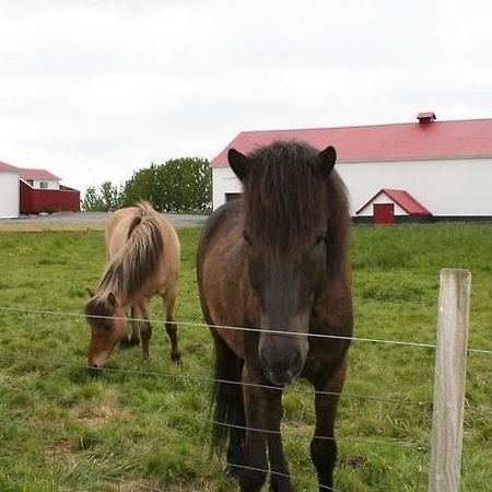Appartamento Byggtharhorn Selfoss Esterno foto